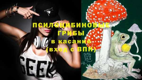 2c-b Елабуга