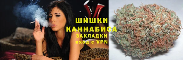 ПСИЛОЦИБИНОВЫЕ ГРИБЫ Михайловка