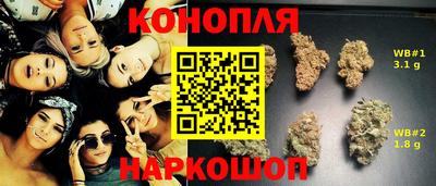 дмт Гусев