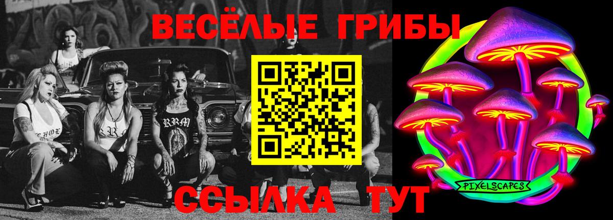 Псилоцибиновые грибы Psilocybe Малгобек